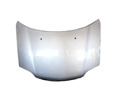 F5100EQ0MM COFANO ANTERIORE NISSAN X-TRAIL T30 2.2 D 4X4 100KW 6M 5P (2007) RICA Foto 1 de 4