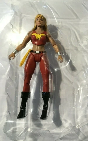 MULTIVERSE  WONDER GIRL 6" FIGURE  LOOSE NEW FROM  DR PSYCHO Cover
