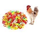 100Pcs Poultry Foot Rings Chicken Identification Band for Ducks Birds Pigeon