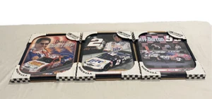 Lote de Coleccionables NASCAR enmarcados 8x10 Jeff Burton Rusty Wallace Darrell Waltrip - Imagen 1 de 5