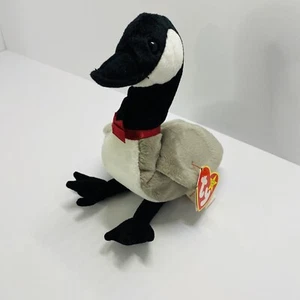 Ty Beanie Baby: Loosy the Canadian Goose - Imagen 1 de 9