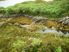 Photo 12X8 Disused Fish Trap On Oronsay (1A) Glenborrodale This Is A Highe C2010