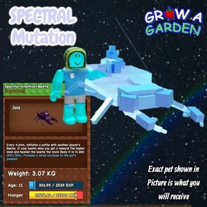 SPECTRAL Amethyst Beetle. Age/Weight Shown In Photo. Grow A Garden - Picture 1 of 1