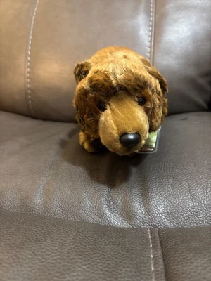 Oso pardo en peligro de extinción Webkinz WKSE3006 Foto 1 de 2