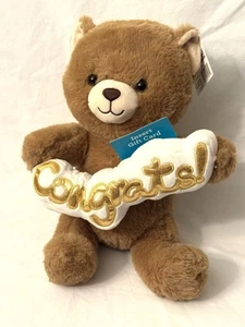 CONGRATS 10.5" BEAR - Gift Collectible Plush Gift Card Holder - Congratulations - Picture 1 of 6