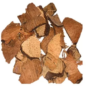 1kg Coconut Shell Chips Eco Friendly Natural Product For BBQ Charcoal Ceylon New - Picture 1 of 6