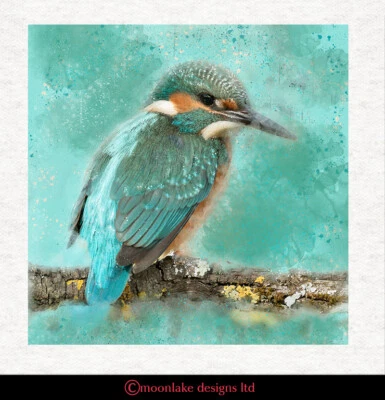 MOONLAKE DESIGNS Vogel - Kingfisher grün junger Stoff Bastelplatten in 100 % Baumwolle oder Polyester