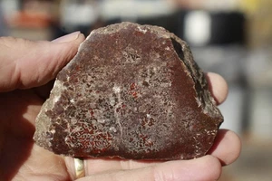 Dinosaurier Edelstein Knochen, poliert, 218 g/7,7 oz. - Bild 1 von 6