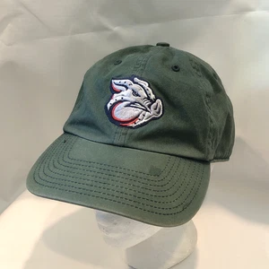 Lehigh Valley Iron Pigs Baseball Franchise Fitted Hat Size Large Twins MiLB Cap - Picture 1 of 13