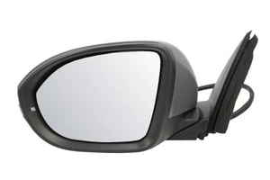 Specchio retrovisore esterno sinistro BLIC 5402-01-2542312P per Vw - Foto 1 di 3