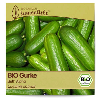 BIO Gurken Samen Sorte Beth Alpha Gemüsesamen BIO Gemüse Saatgut samenfeste Gurk - Bild 1 von 4