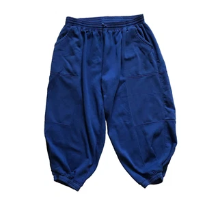 Anthropologie Daily Practice Zola Sweatpants Joggers Womens 1X Royal Blue Cotton - Picture 1 of 12