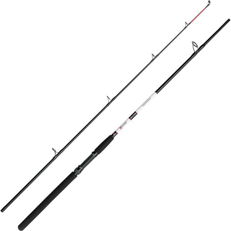 DAM Aqua-X Shad & Pilk Rod 8' 50-150 g Foto 1 de 1