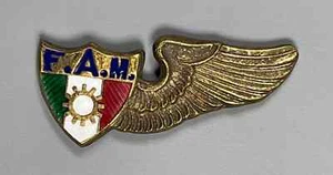 Insignia de ingeniero de vuelo de la Fuerza Aérea Mexicana de latón macizo--- VER TIENDA MEDALLAS DE LA PRIMERA GUERRA MUNDIAL-SEGUNDA - Imagen 1 de 2