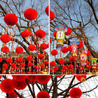 10Pcs 2023 Chinese New Year Traditional Chinese Red Paper Lanterns Decoration