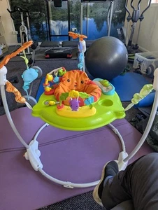 Fisher-Price Rainforest Jumperoo - Picture 1 of 2