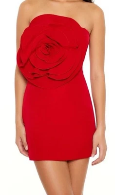 Forever 21 Rosette 迷你无袖管连衣裙尺寸 4X 格纹尺寸 — 第 1/4 张图片