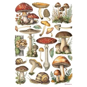Stamperia A4 RICE PAPER - BEST SELLERS - MUSHROOMS, Decoupage - Picture 1 of 1