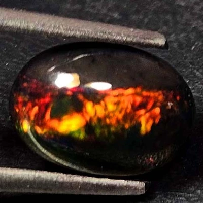 NATURAL AAA+STUNNING COLOR PLAY OVAL CABOCHAN  ETHIOPIAN WELO BLACK OPAL 1.35CTS - Image 1 of 3