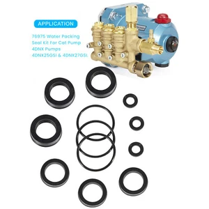 76975 Seal Kit Cat Pump Seal Kit for 4DNX Pumps Model 4DNX25GSI 4DNX27GSI - Picture 1 of 7