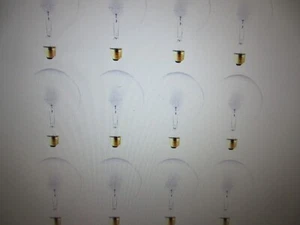 Bulbrite 40-Watt Warm White Light G40 (E26) Medium Screw Base Dimmable Bulb 12PK - Picture 1 of 4