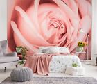 3d Pink Rose Blossom O578 Wallpaper Wall Murals Removable Wallpaper Sticker Eve
