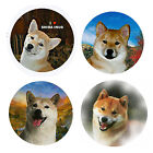 Shiba Inu Magnets:4 Cool Shiba Inus for your Fridge or Collection-A Great Gift
