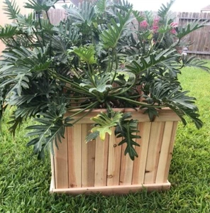 Custom Handmade To Order Red Cedar Square Planter Box In Assorted Sizes - Picture 1 of 9