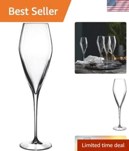 Atelier 9.25 oz Champagne Glasses, Set of 6, Clear - Picture 1 of 6