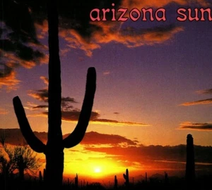 Sunset View Over Tucson Mountain Park Saguaro Cactus Arizona  Postcard - Picture 1 of 4