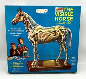 Kit de montaje Renwal The Visible Horse 1961 n.º 807: 698 ¡Completo! - Imagen 1 de 10