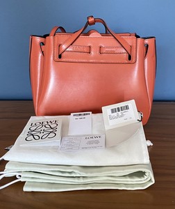 mini lazo bolsa loewe