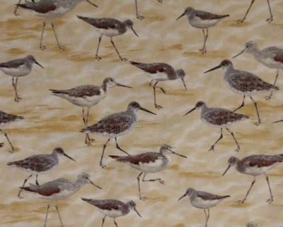 Sandpipers Birds Nautical Fabric TIMELESS TREASURES Quilters Cotton HALF YARD - Image 1 of 3