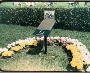 3 diapositive 35 mm Nashua corsa cavallo commemorativo Bugler Racing 1959 Kodakrome vintage - Foto 1 di 8