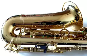 SCHAGERL Altsaxophon A-900 ML wie neue - Bild 1 von 17