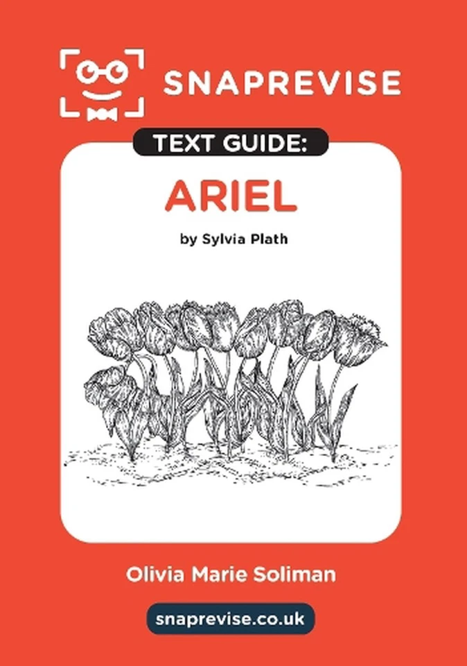 SnapRevise Ariel Text Guide for English Literature by SnapRevise Paperback Book - Image 1 of 1