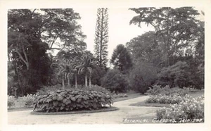 Trinidad - PORT OF SPAIN - Botanical Gardens - REAL PHOTO Publ. Tourist Inquiry - Picture 1 of 2
