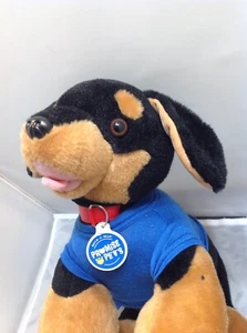 Build A Bear Workshop Promise Mascotas PERRO SALCHICHA 14'" SUPER PERRO-limitado - Imagen 1 de 6