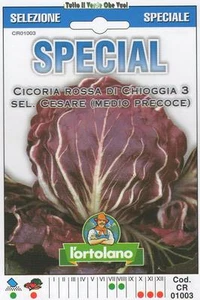 Achicoria Roja Por Chioggia 3 Inscripción Dedicada A Gisistel 10 Sobres Special - Picture 1 of 1