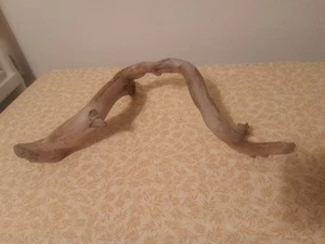 Natural Driftwood for Aquariums – Unique Branch 17" X 5" X 2" - Picture 1 of 5