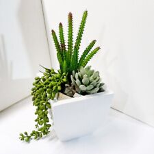 3 Pcs Artificial Plants Mini Cactus Flocking Succulents (#107)