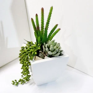 3 Pcs Artificial Plants Mini Cactus Flocking Succulents (#107) - Picture 1 of 4