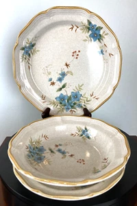Mikasa Garden Club, Day Dreams EC 461, Dinner and Salad Plates and Soup Bowls - Picture 1 of 13