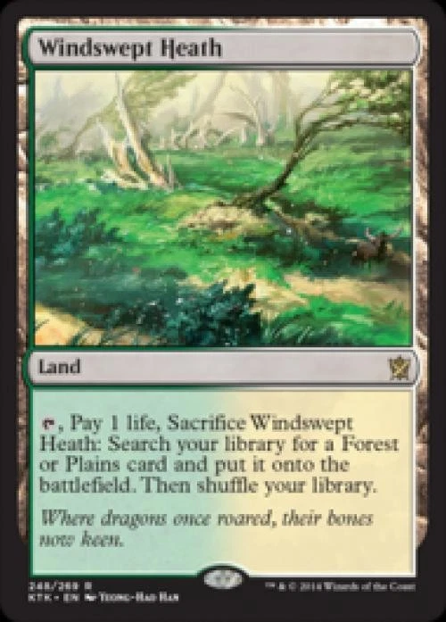 Windswept Heath - Light Play MTG Khans of Tarkir - Image 1 of 1