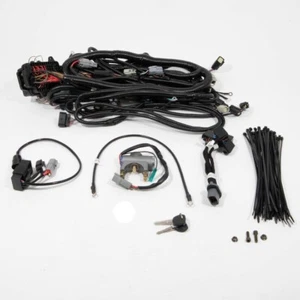 Kit de arnés principal 759-05602 Cub Cadet Challenger (reequipamiento My17/18) - Imagen 1 de 6