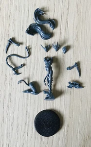 Warhammer Age Of Sigmar Witch Elves/Sisters Of Slaughter Singles - Picture 1 of 6