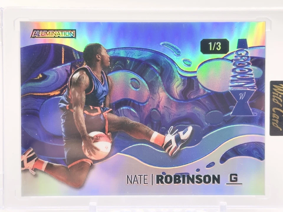 Comodín Nate Robinson Alumination GROOVN 2024/3 Estuche Hit Knicks Foto 1 de 3