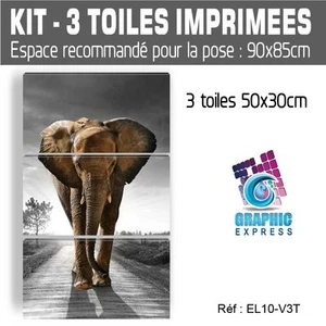50X90CM - 3 TELE STAMPATE - QUADRO DECORATIVO DA MURO - ELEFANTE - EL10BW2-V3T - Foto 1 di 18