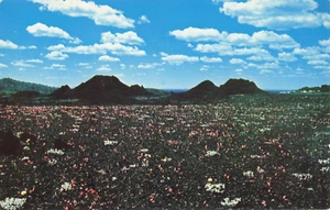 Craters of the Moon National Monument, Idaho Singer Garden Vintage PC - Picture 1 of 2