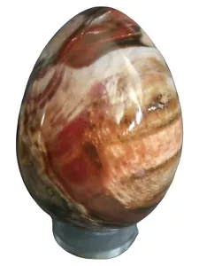 Gran huevo tallado pulido fósil de madera petrificada de Madagascar 3,8x2,9" 758 g regalo - Imagen 1 de 8